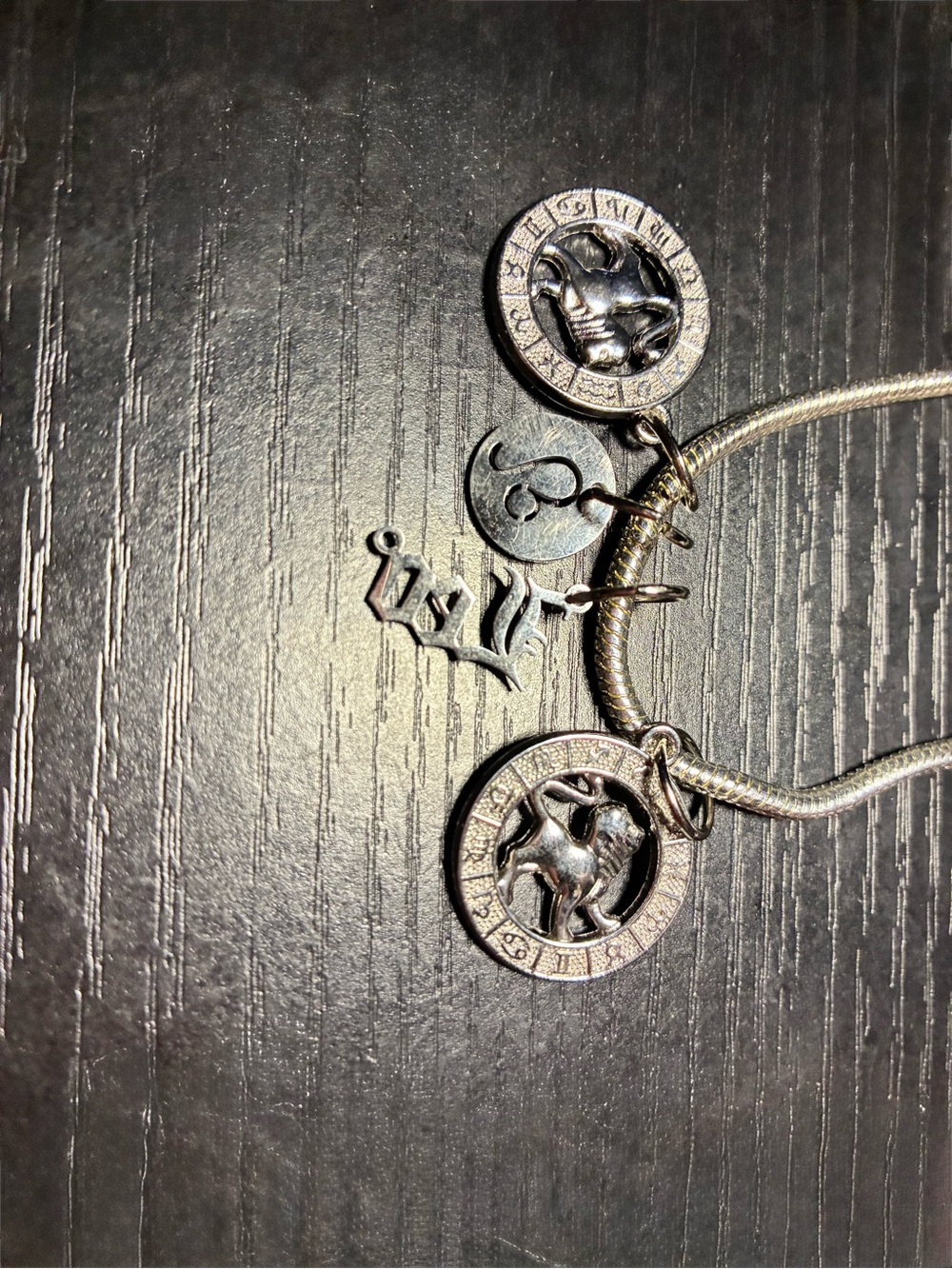 Silver-Tone Zodiac Charm Necklace - Women Jewelry